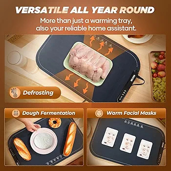 سینی گرمکن سریع غذا